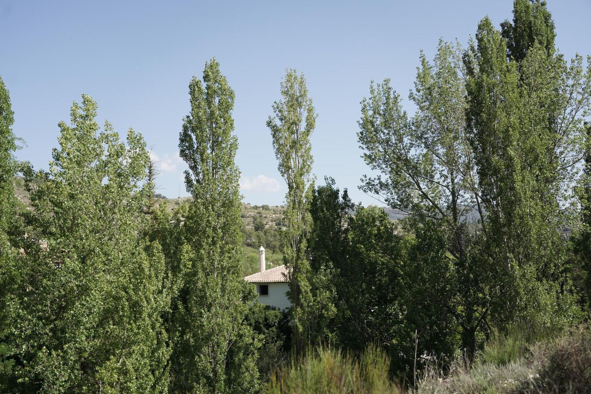 Apartment Cortijo San Roque Rurales
